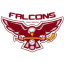 Falcons Stará Ľubovňa